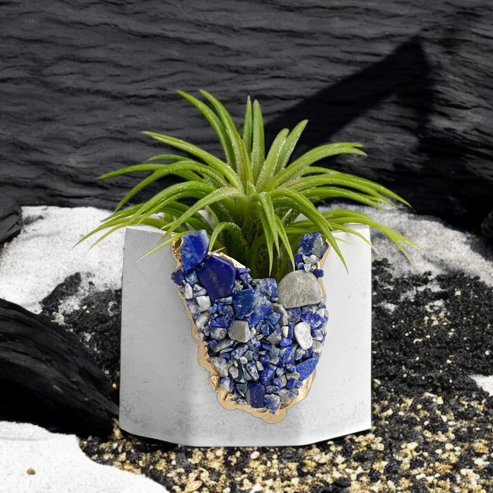 geode succulent LAPIS LAZULI GEODE Planter Planter + Live Air Plant