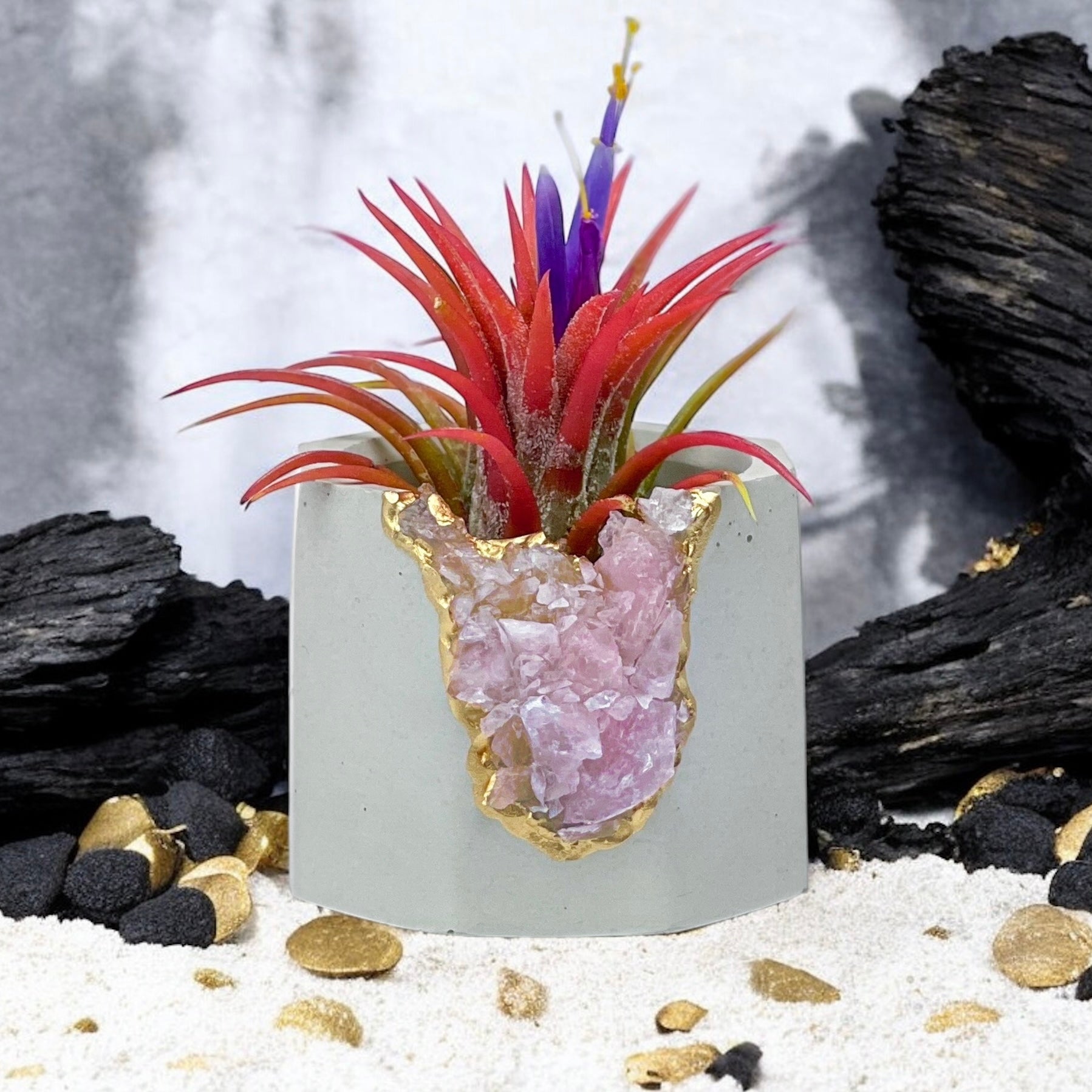 rose quartz air plant Rose Quartz Geode Planter