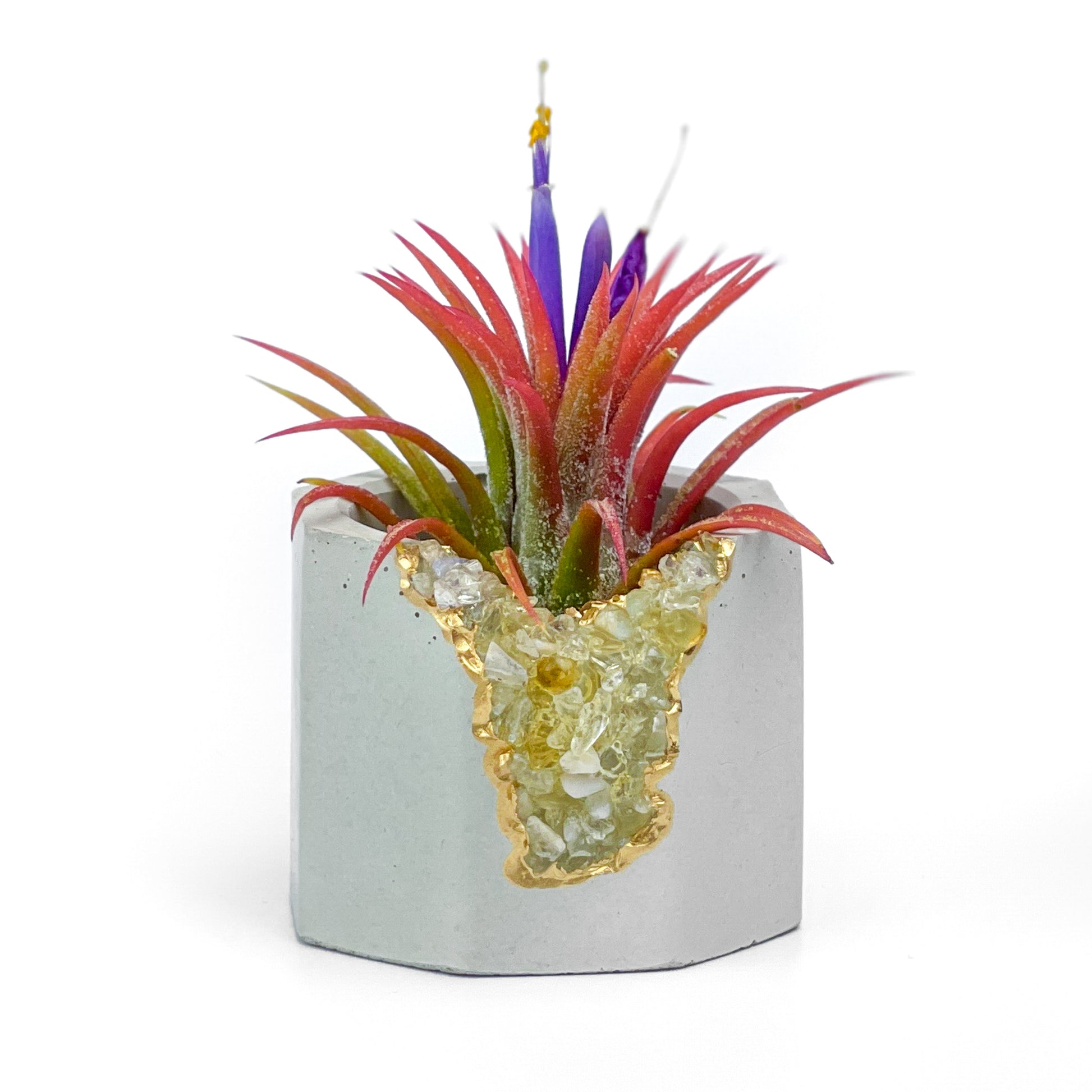 AURA 8 HOME