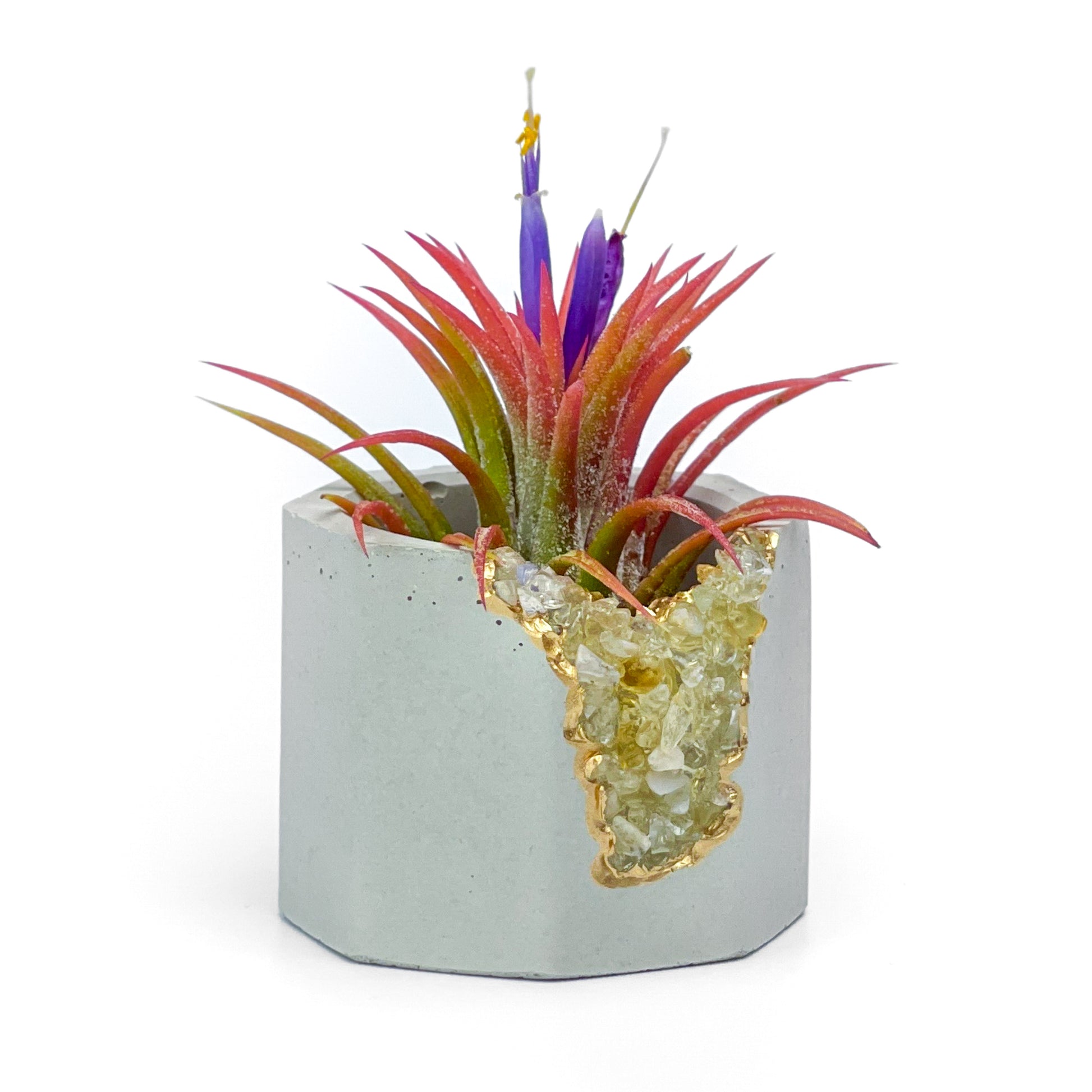 AURA 8 HOME