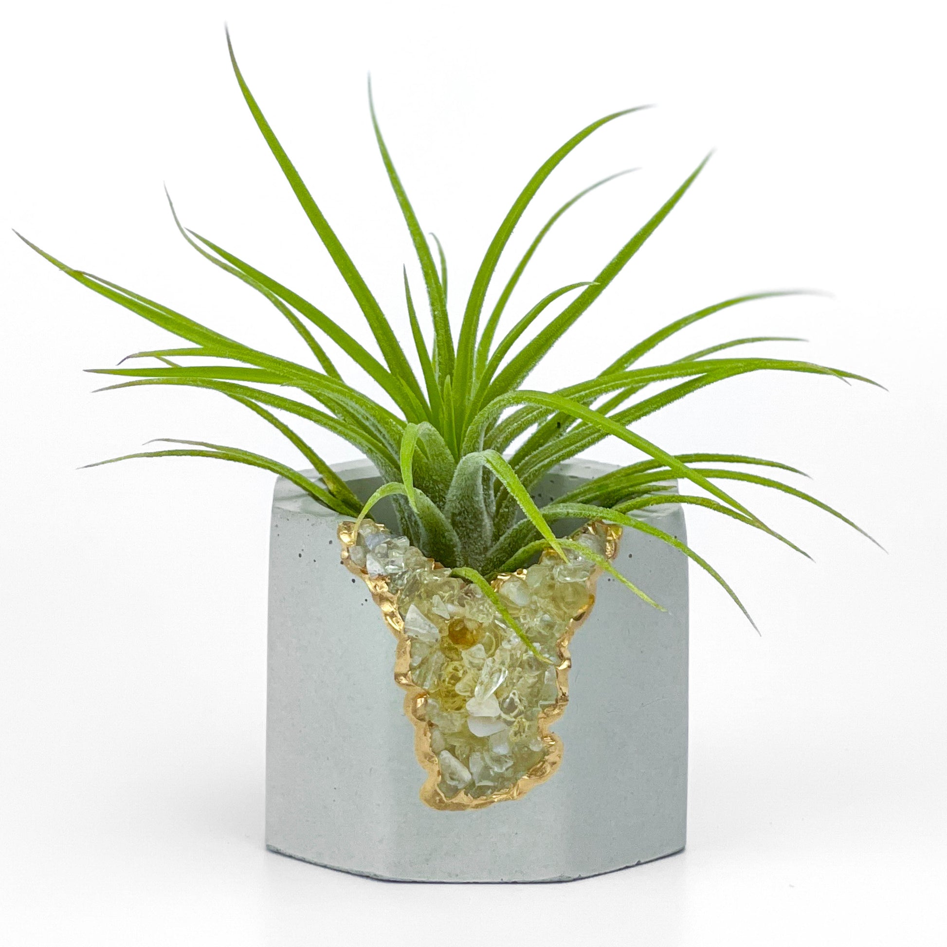AURA 8 HOME