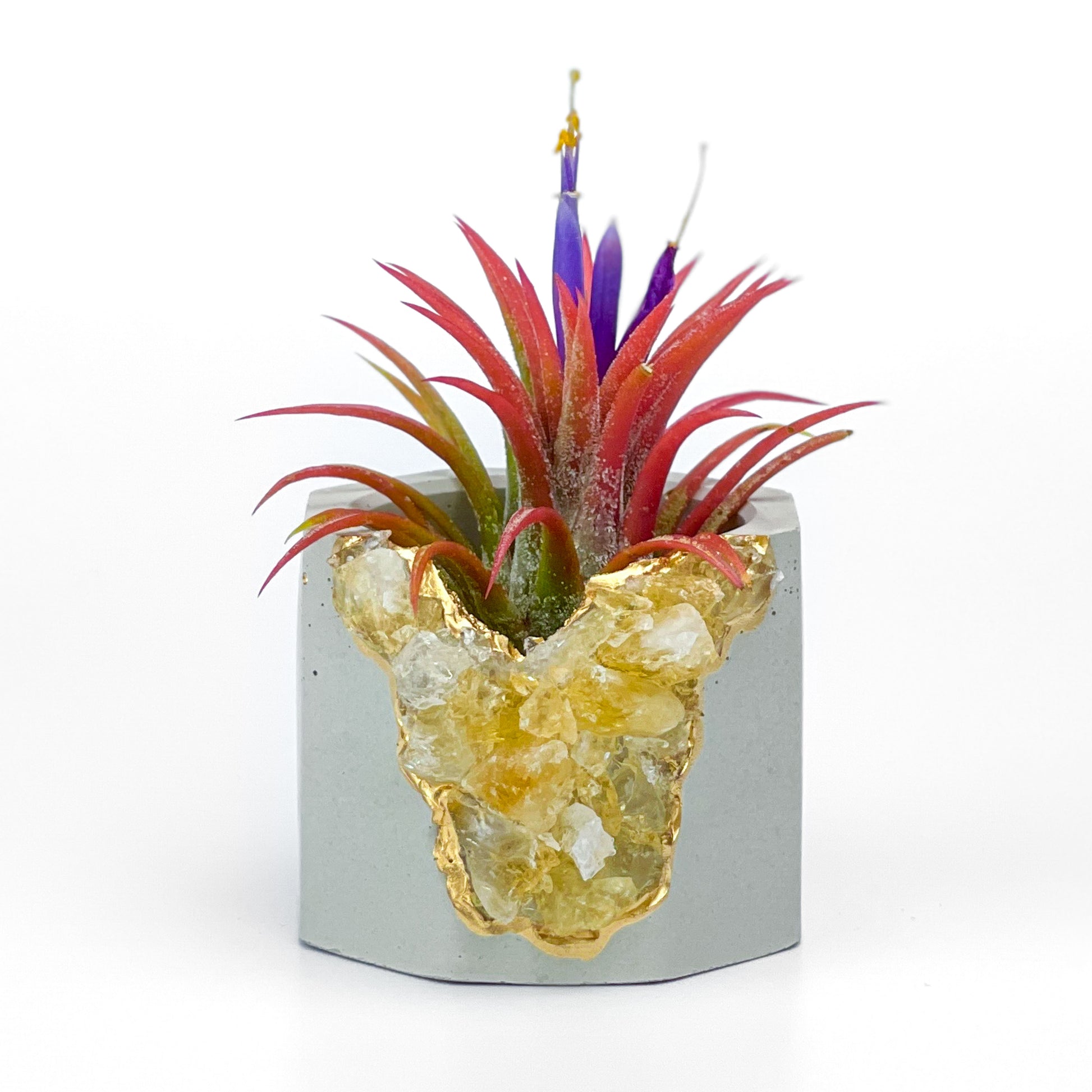 AURA 8 HOME