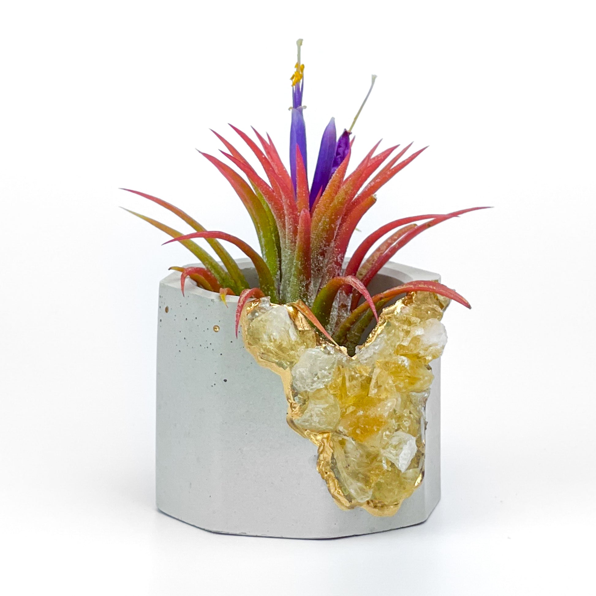 AURA 8 HOME