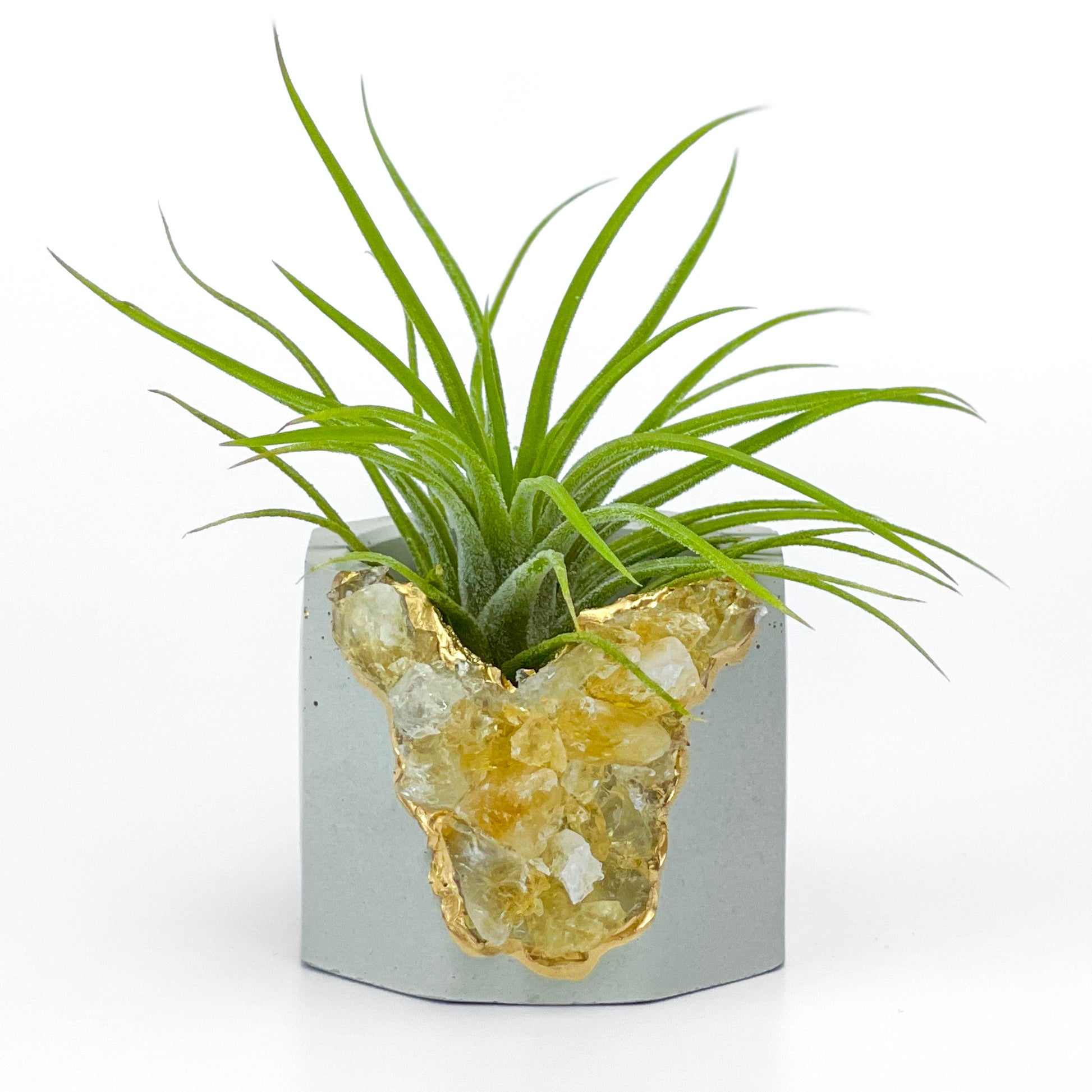 AURA 8 HOME