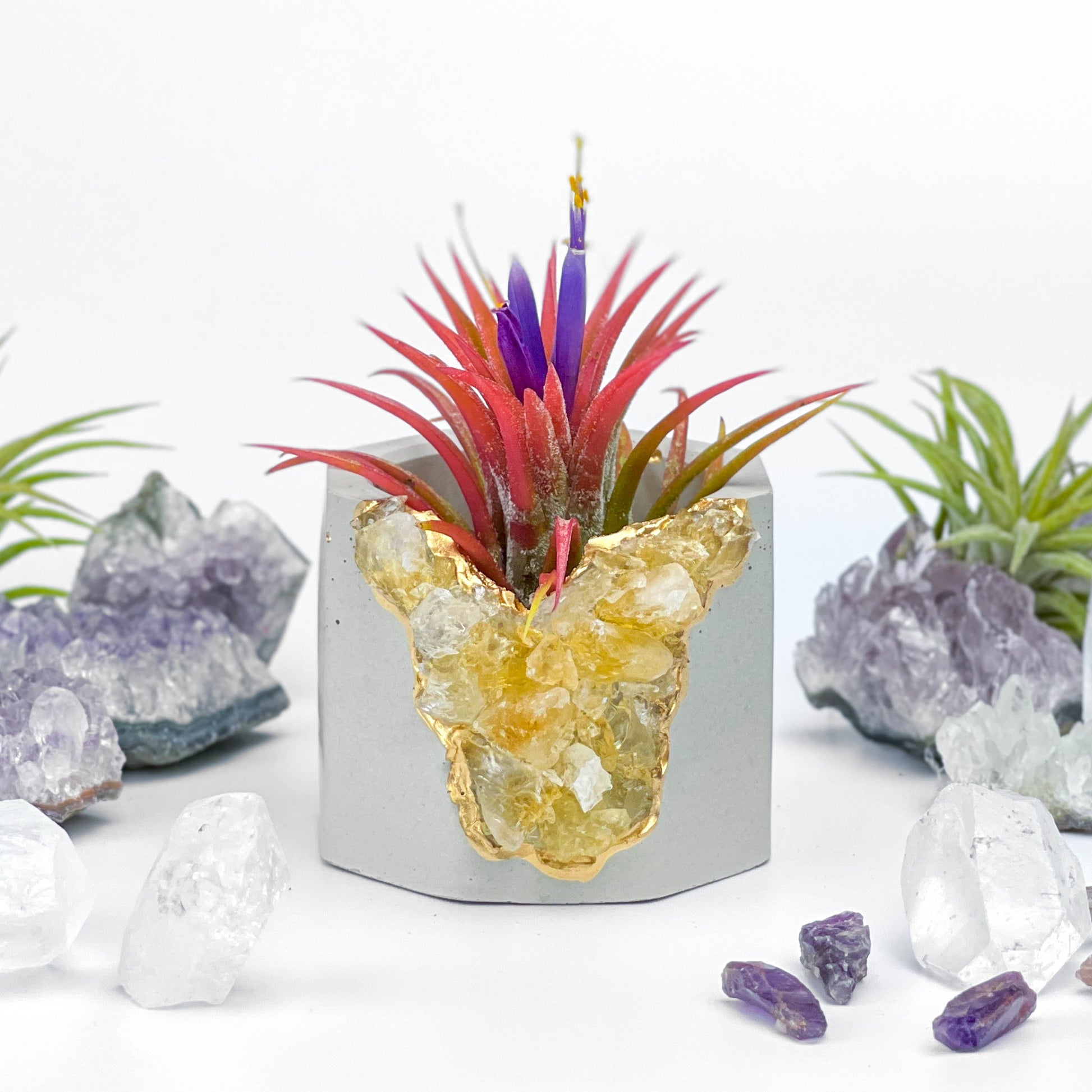 AURA 8 HOME
