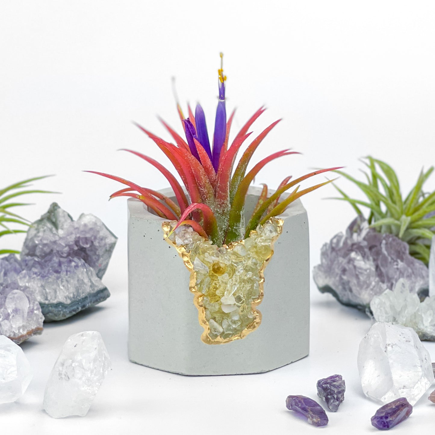 AURA 8 HOME