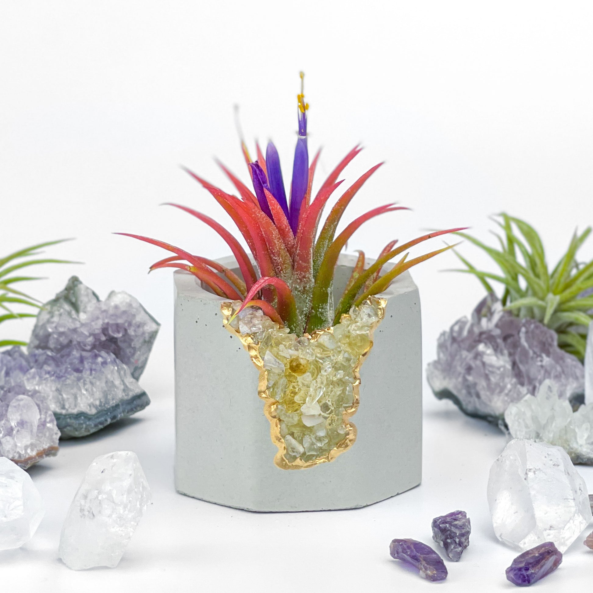 AURA 8 HOME