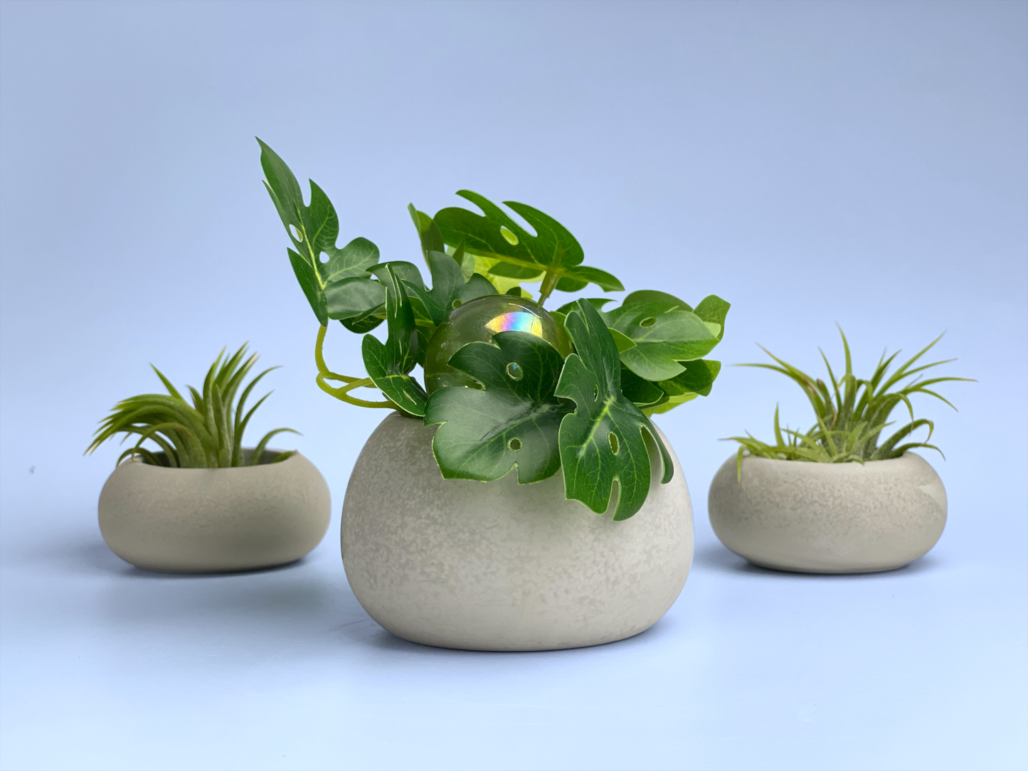 Mini Succulent Planter | Air Plant Holder