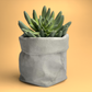 Paper Bag Succulent Planter Pot