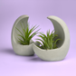 YOUNG MOON AIR PLANT HOLDER