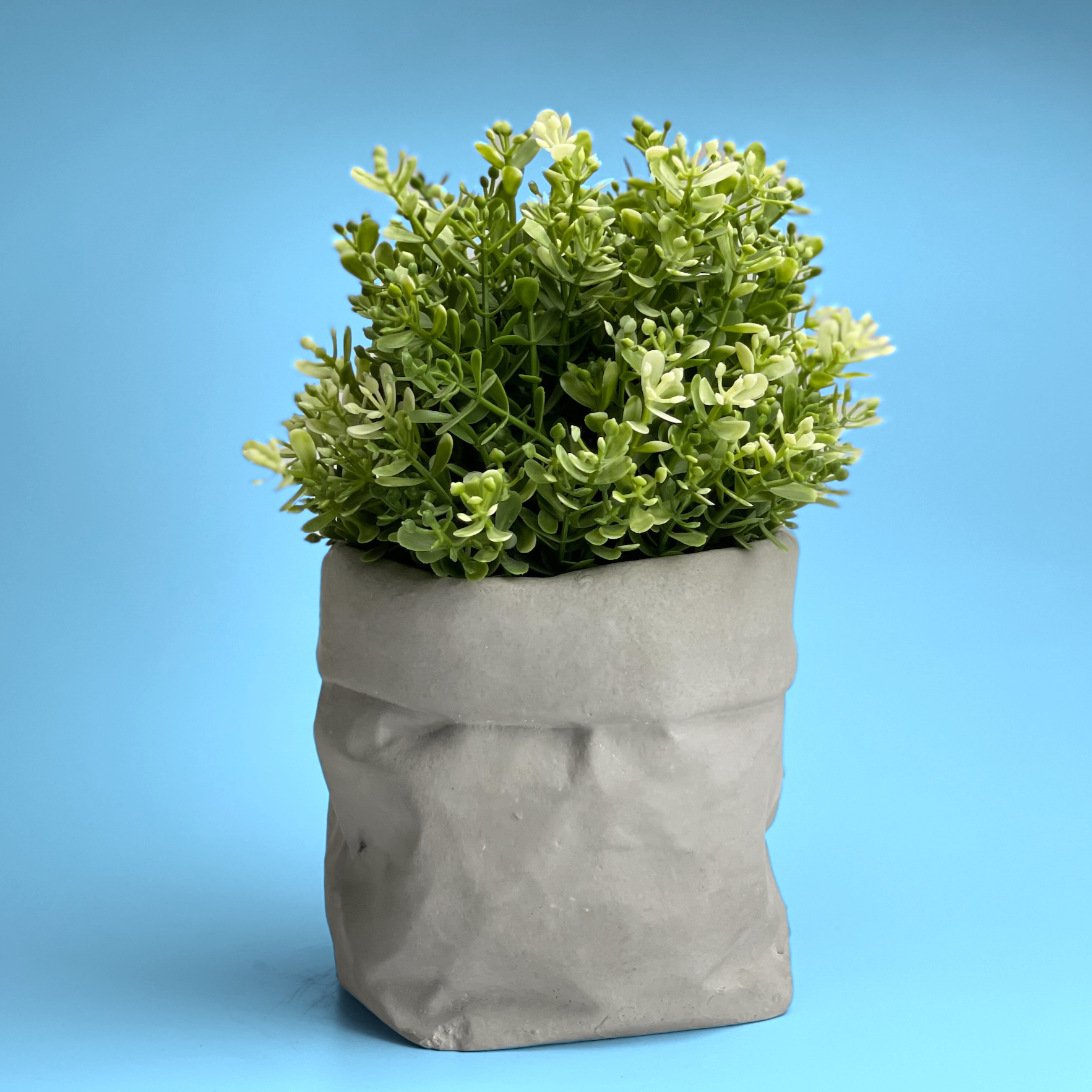 succulent bag Paper Bag Succulent Planter Pot