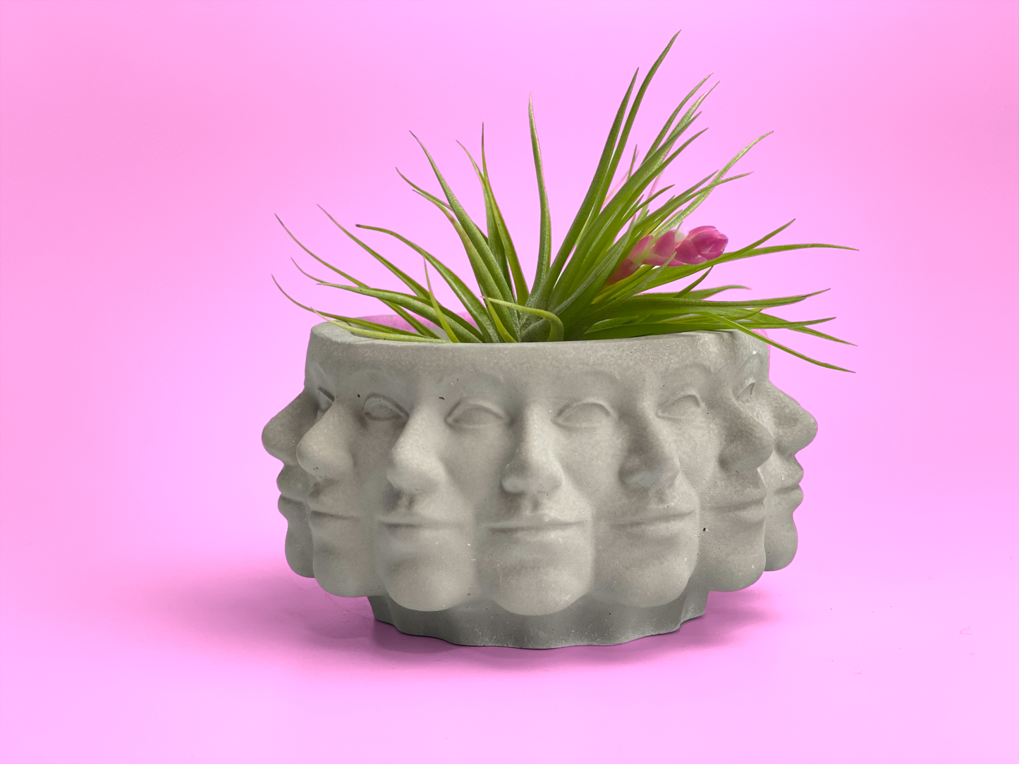 Multi Face Succulent Planter