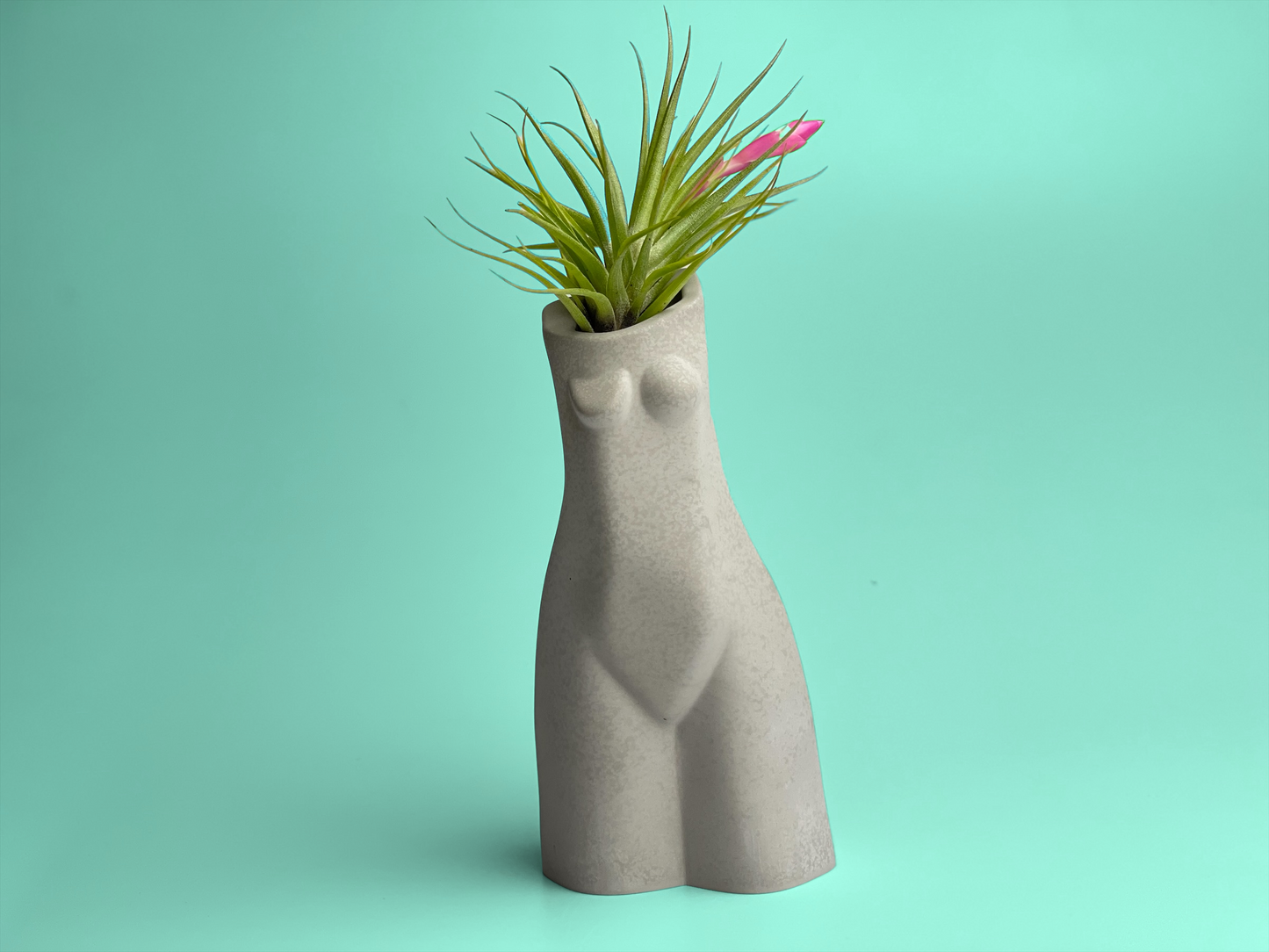 SET OF 3 AIR PLANT HOLDERS, Female Body Vase