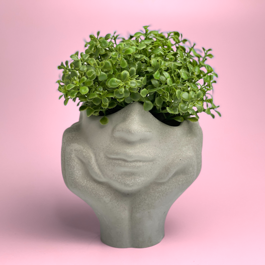 Face Succulent Planter