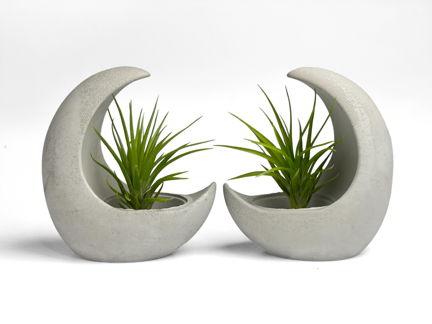 YOUNG MOON AIR PLANT HOLDER