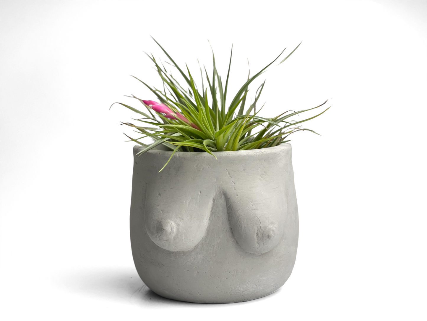 Boobs Planter | Woman Body Pot