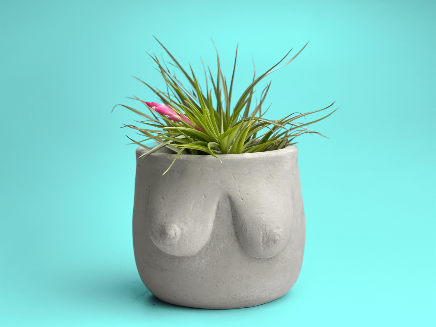 Boobs Planter | Woman Body Pot