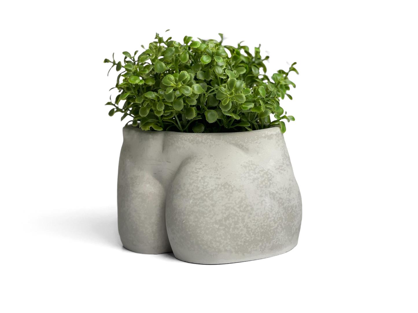 Male Body Planter Pot | Butt