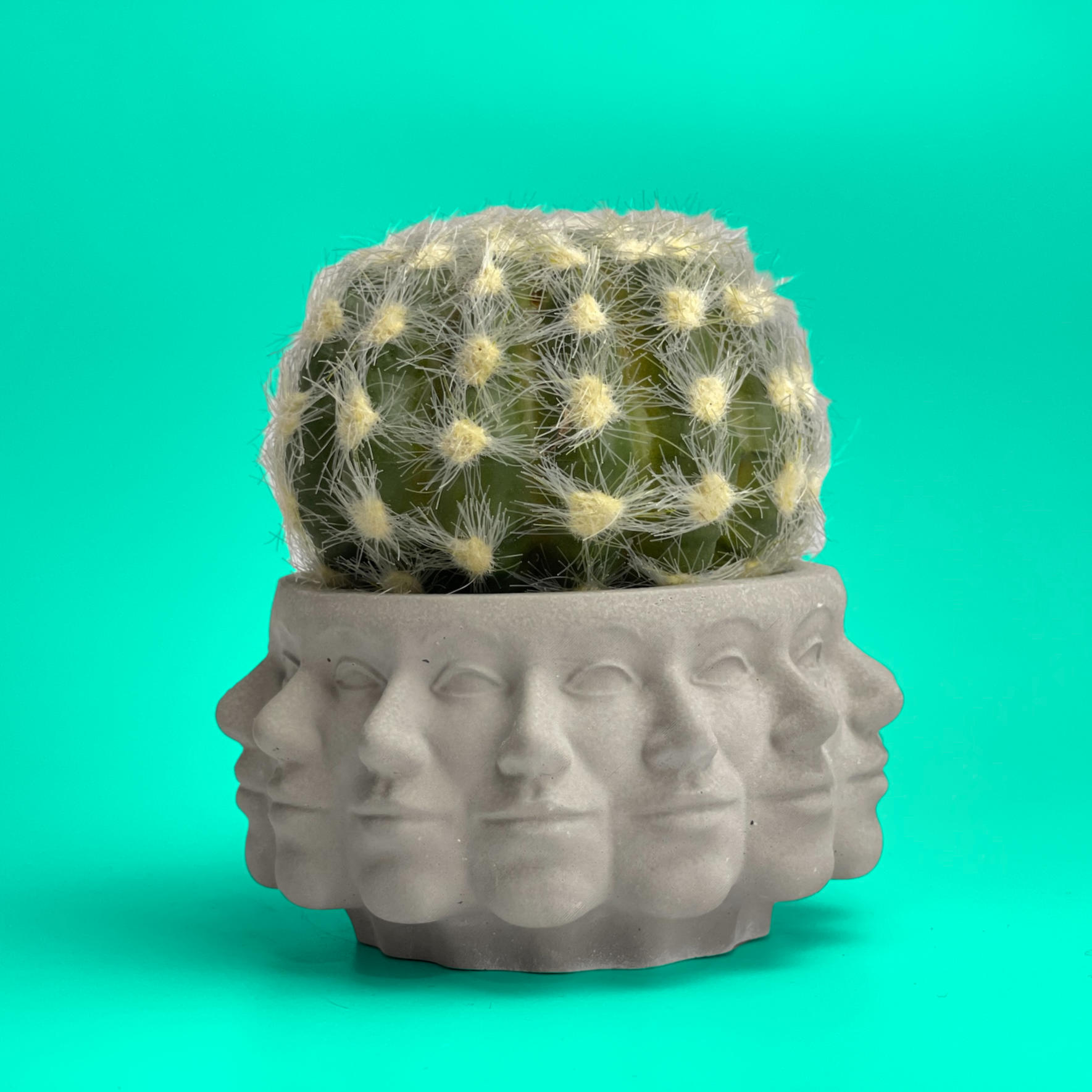 multi pot planter Multi Face Succulent Planter 7624586166422