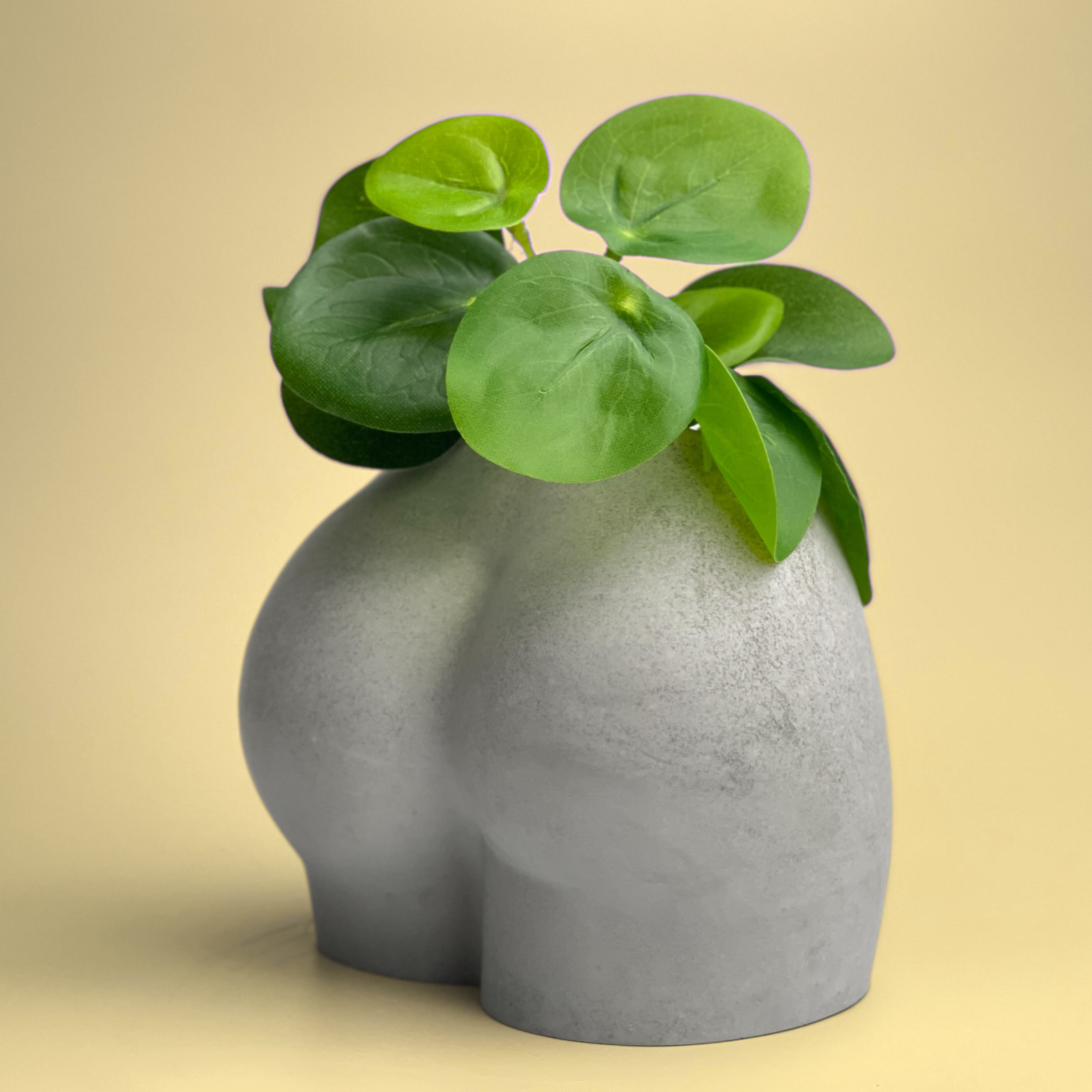 bum plant pot Butt Planter