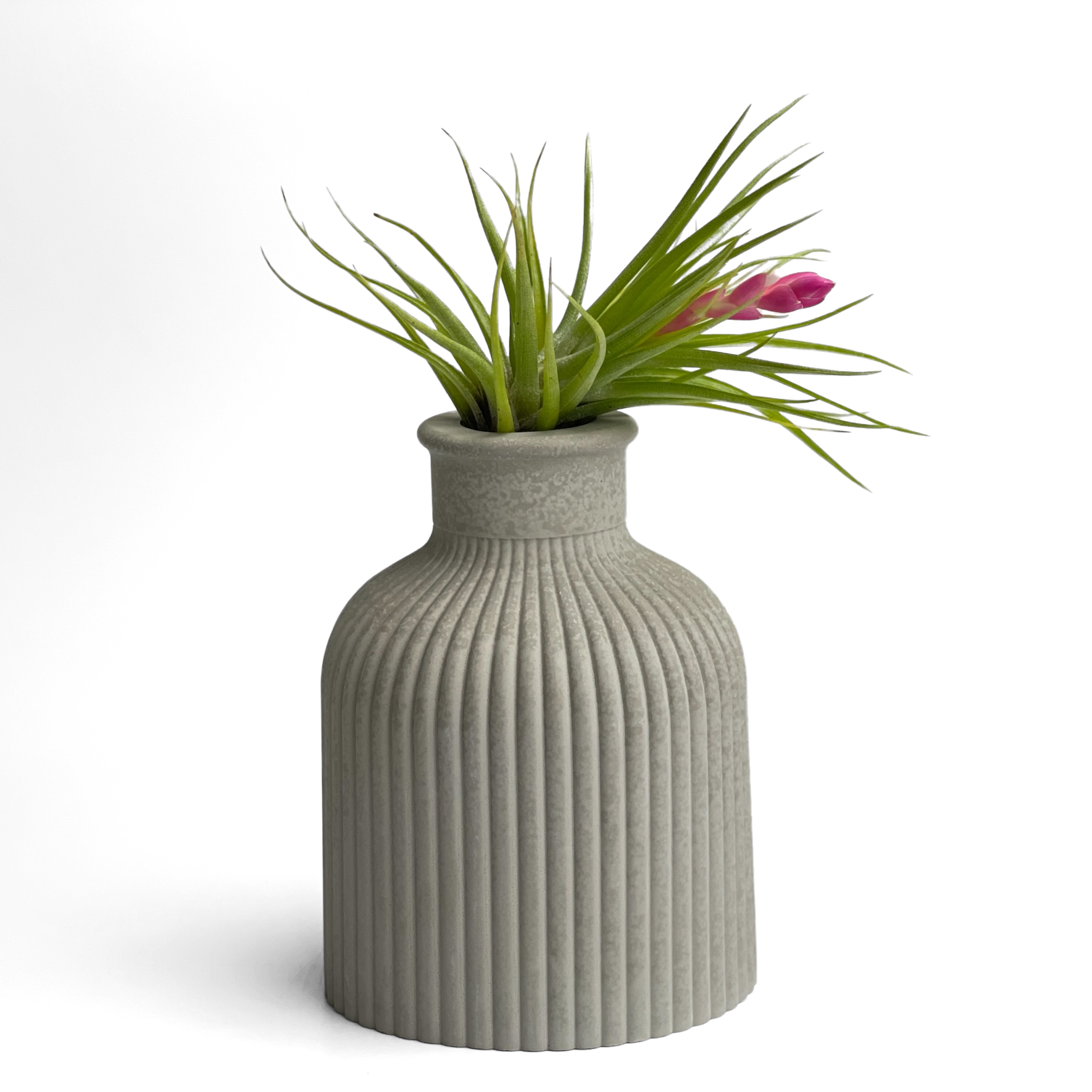 mini air plant holder FAT MINI VASE
