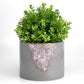 Rose Quartz Planter/ Geode Planter / Crystal Plant Pot