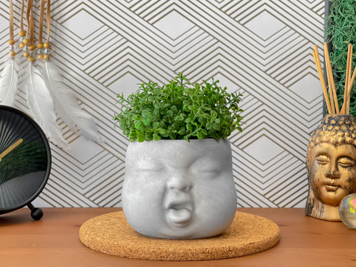 Baby Face Succulent Planter