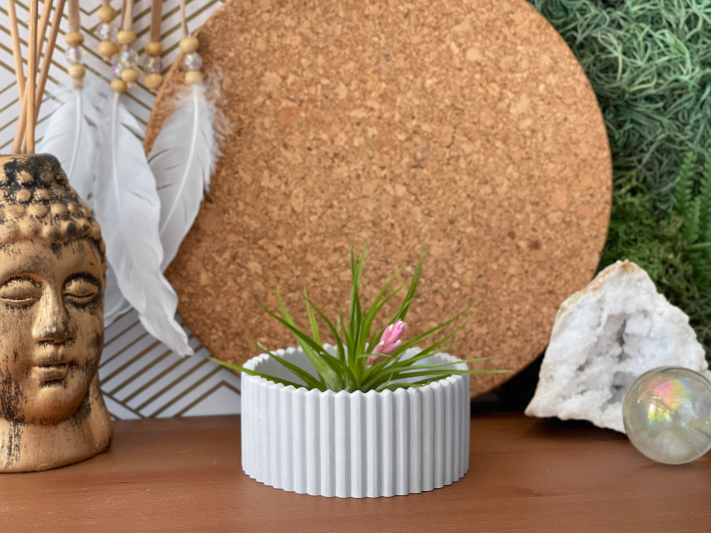 Scandinavian Air Plant Holder | Succulent Planter