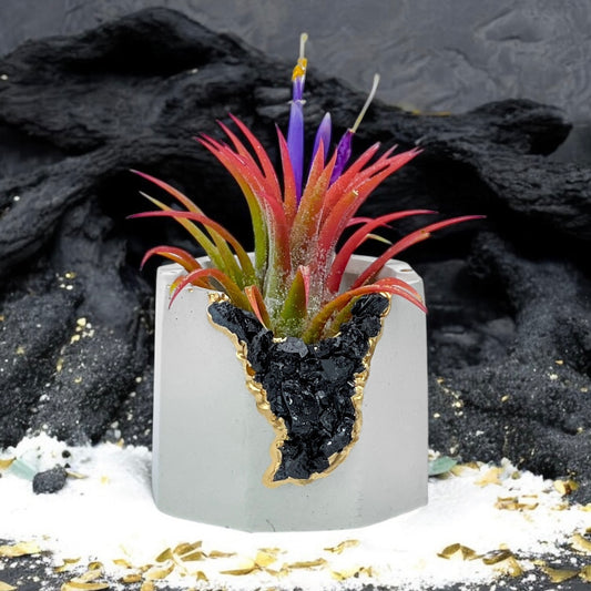 BLACK TOURMALINE GEODE PLANTER