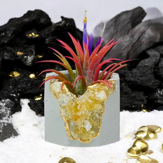 Raw CITRINE GEODE PLANTER