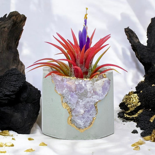 Madagascar AMETHYST GEODE PLANTER