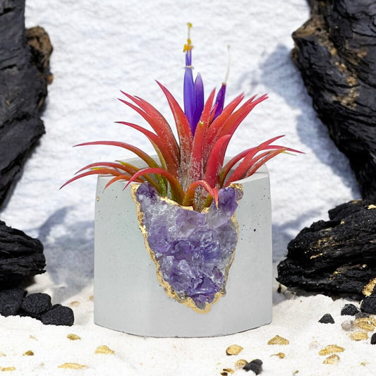 Brazil AMETHYST GEODE PLANTER