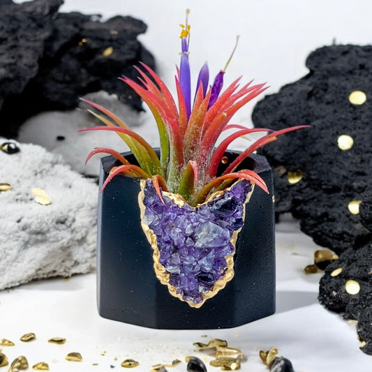 Black AMETHYST GEODE PLANTER