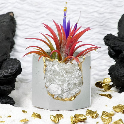 Raw CLEAR QUARTZ GEODE PLANTER