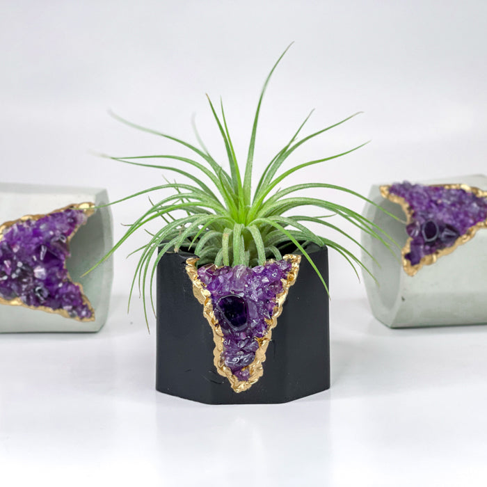 amethyst air plant holder AMETHYST CANDLE HOLDER