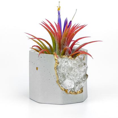 Raw CLEAR QUARTZ GEODE PLANTER