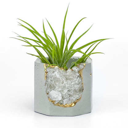 Raw CLEAR QUARTZ GEODE PLANTER