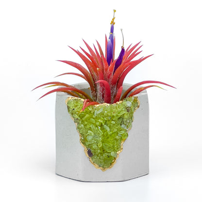 GREEN PERIDOT GEODE PLANTER