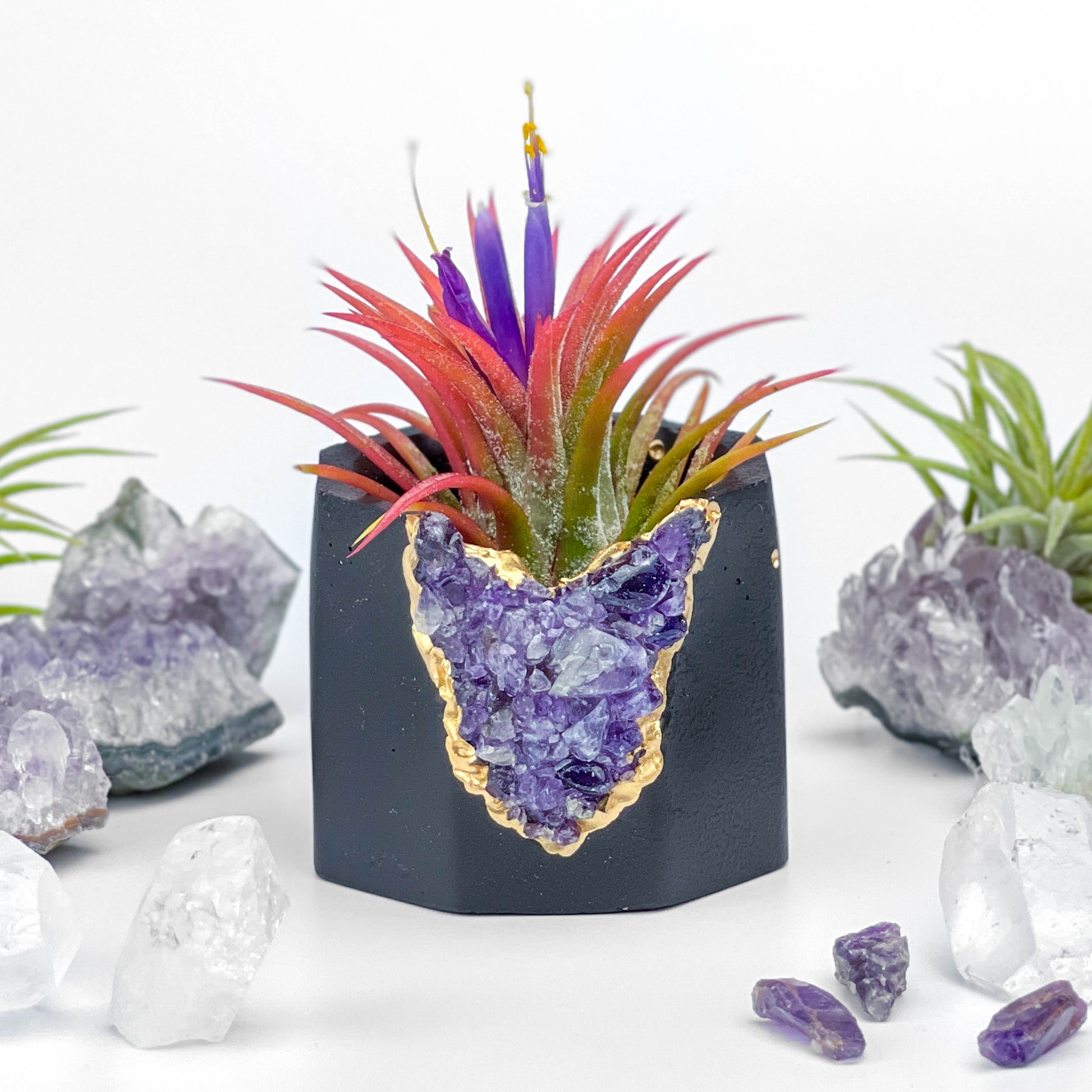 amethyst crystal air plant Black AMETHYST GEODE PLANTER 6982182404246