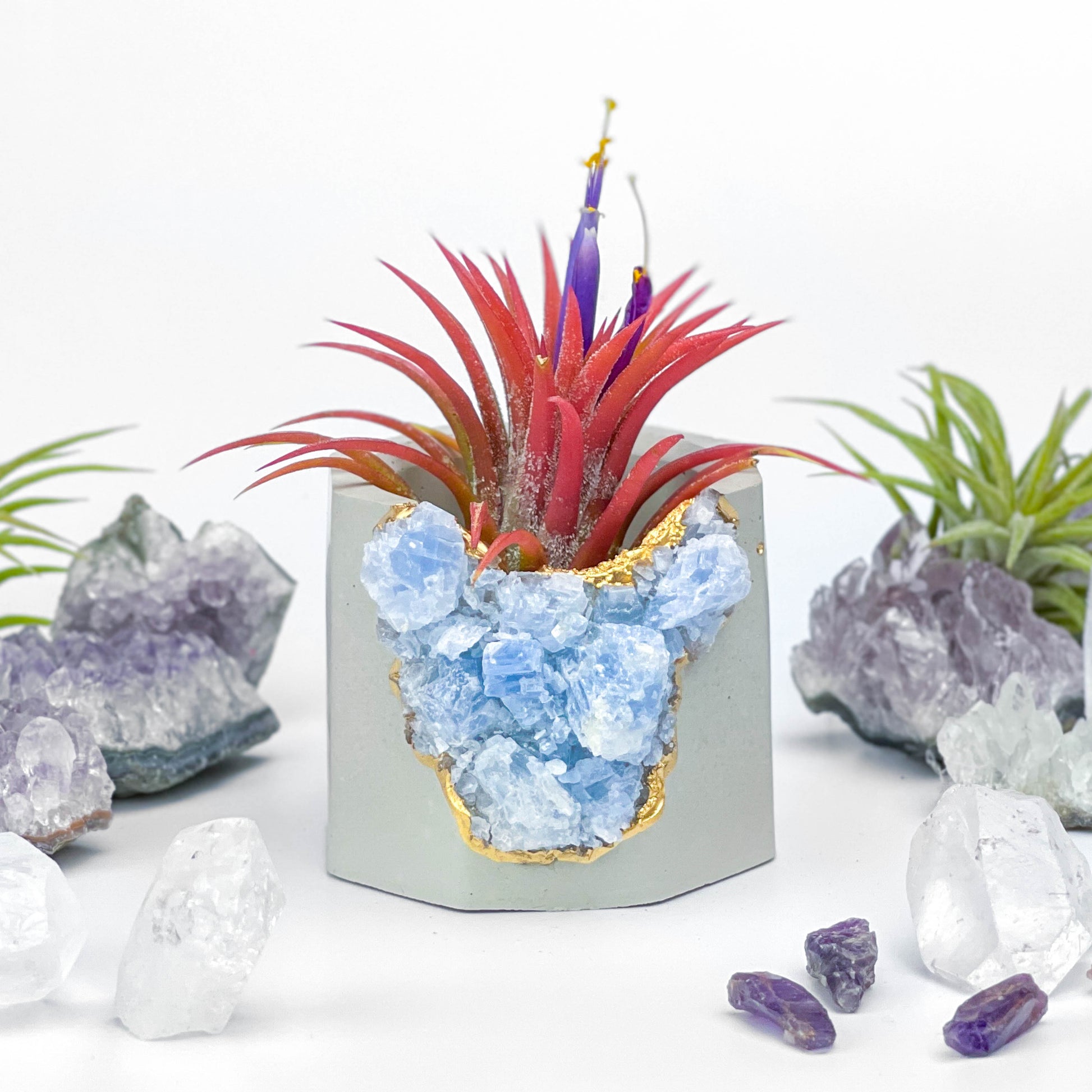 crystal succulent planter BLUE CALCITE GEODE PLANTER 6647116923030