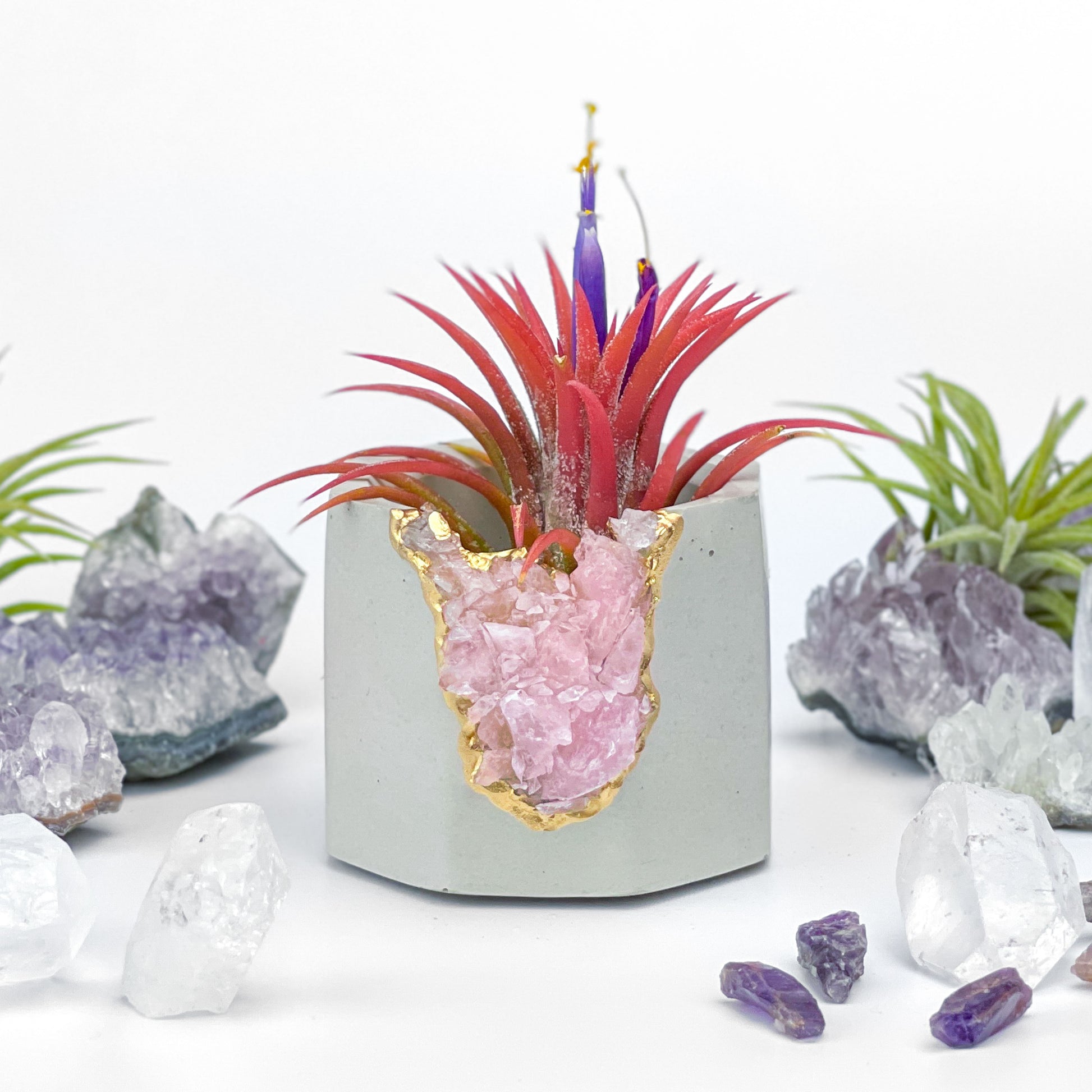 rose quartz air plant Raw ROSE QUARTZ GEODE PLANTER 6982177652886
