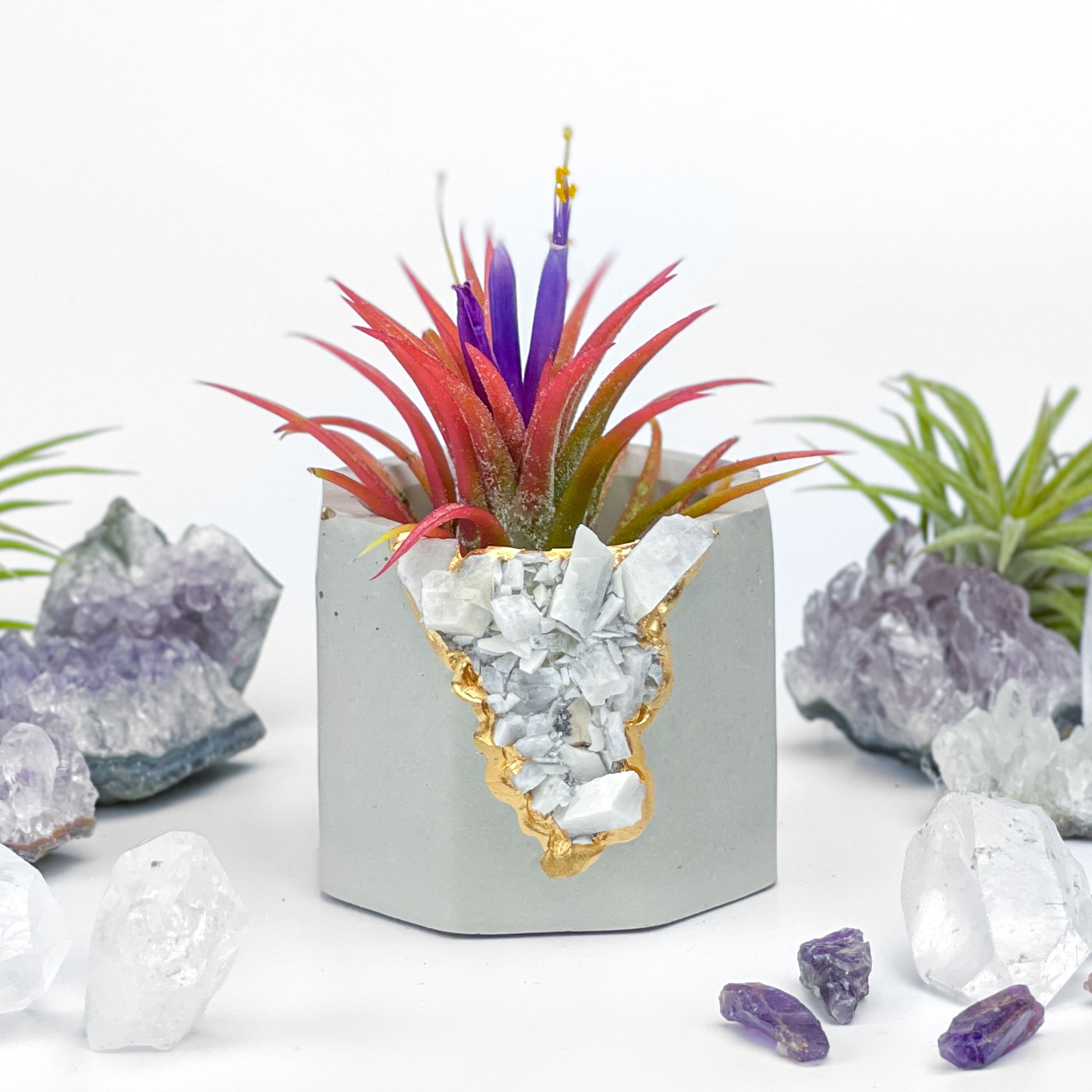 Geode Crystal Planter | Succulent Planter | Purple Planter | online Raw Amethyst