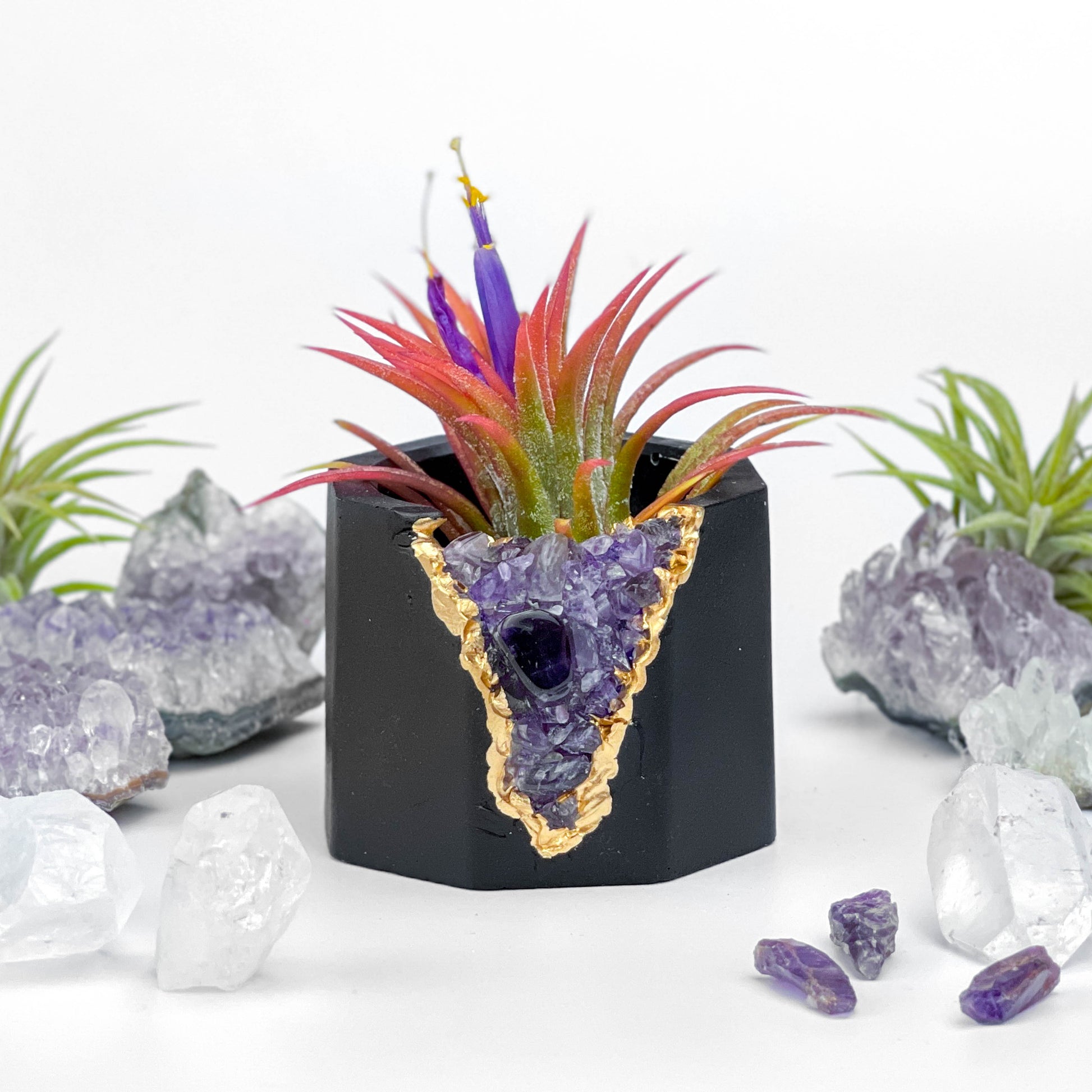 geode air plant holder Black AMETHYST GEODE PLANTER 6982182404246