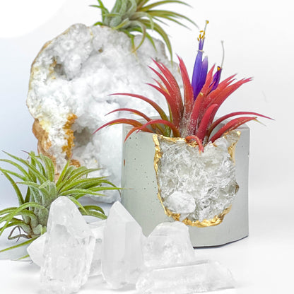 Raw CLEAR QUARTZ GEODE PLANTER