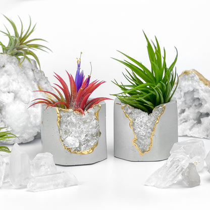 Raw CLEAR QUARTZ GEODE PLANTER