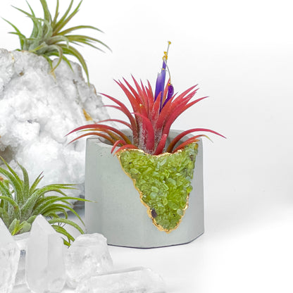 GREEN PERIDOT GEODE PLANTER