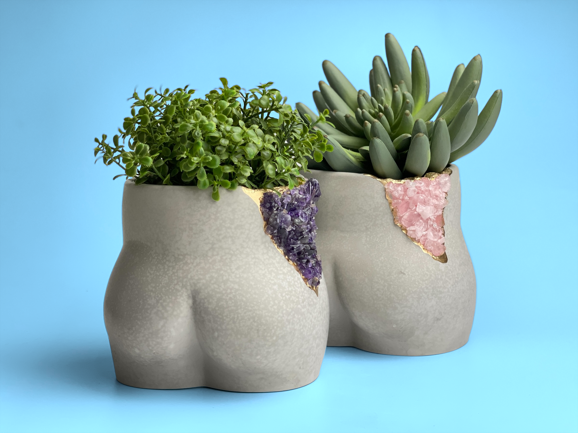butt succulents Rose Quartz Butt Planter 7624372224150