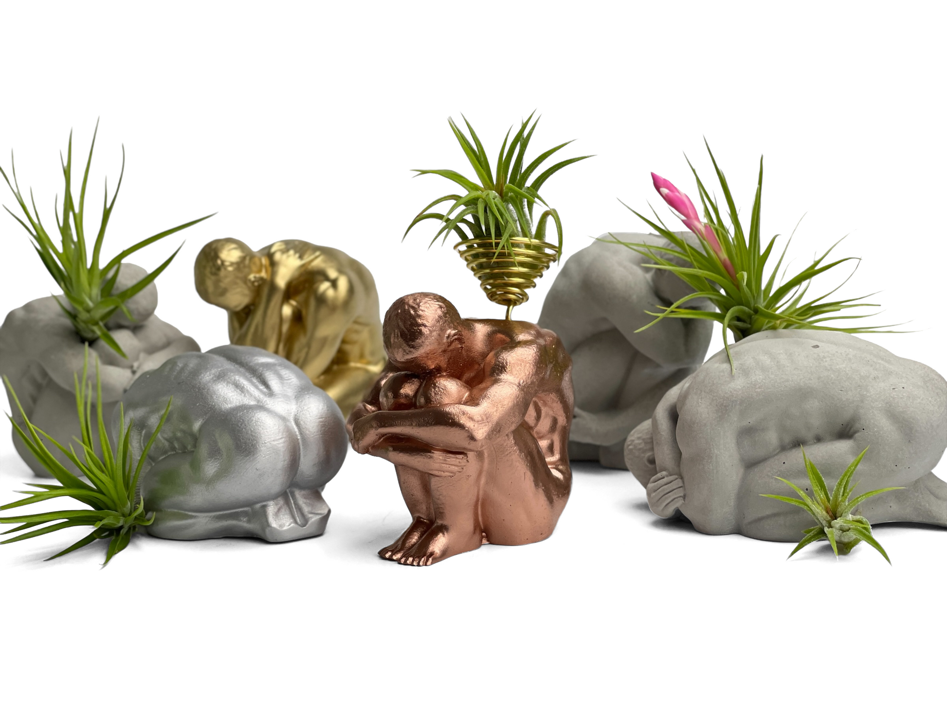animal air plant holder MALE BODY AIR PLANT HOLDER 7624546975894