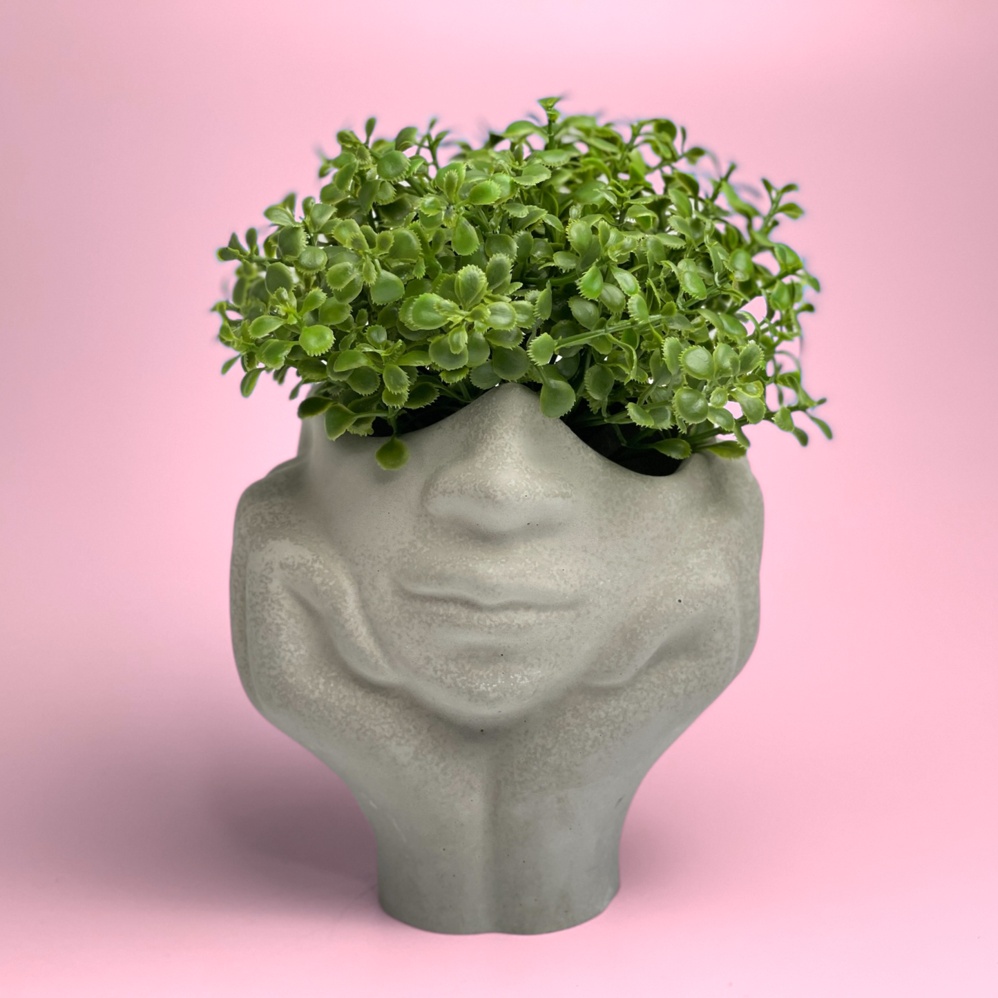 half face plant pot Face Succulent Planter on Hand