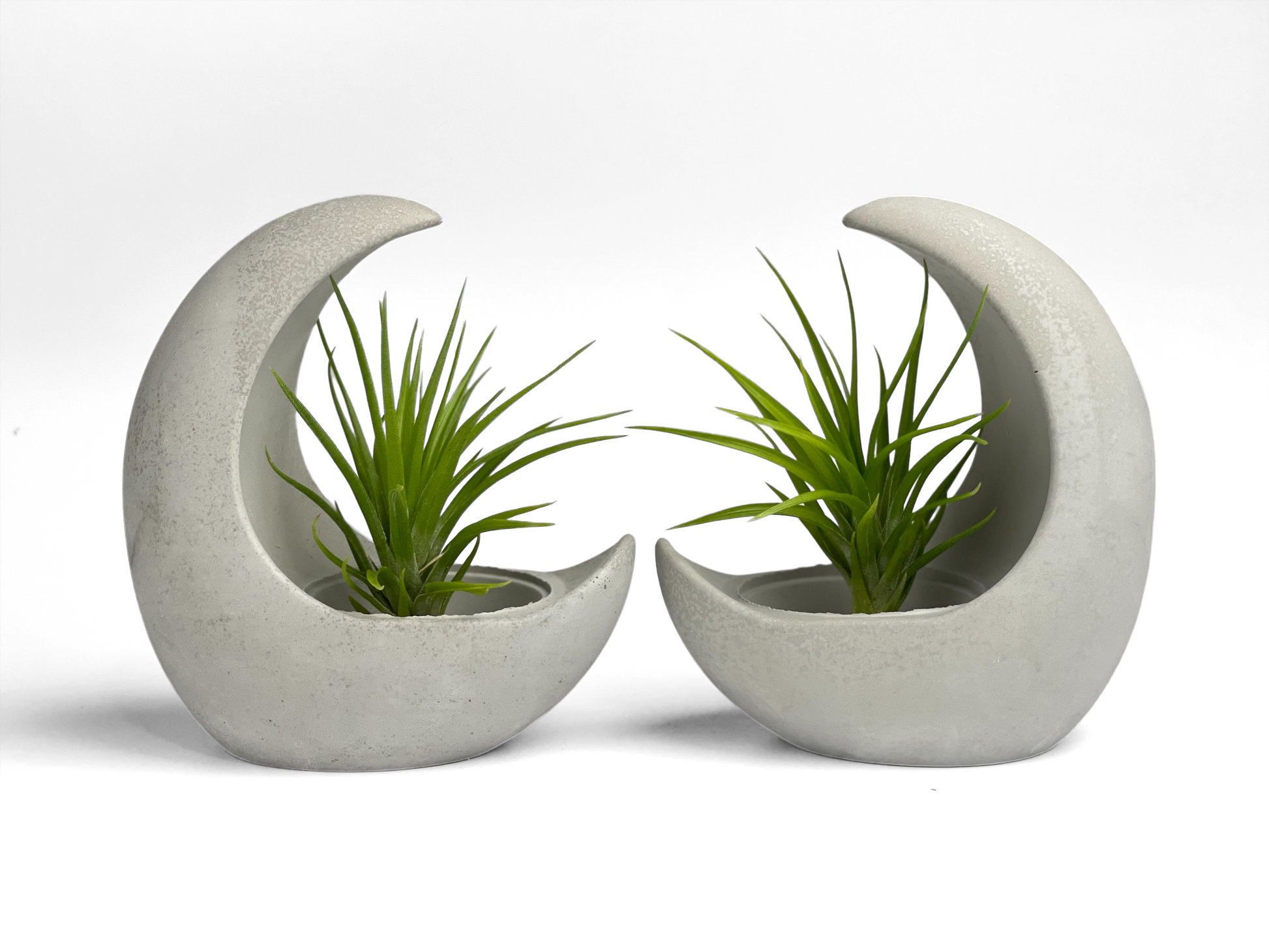 astronaut air plant holder Young Moon Air Plant Holder